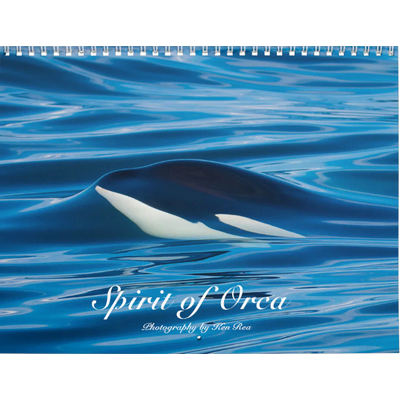 Orcas 2027 Wall Calendars