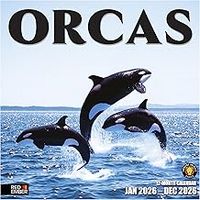 Orcas Calendar