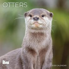 Otters 2026 Calendar