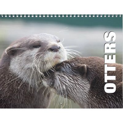 Otters 2027 Calendar
