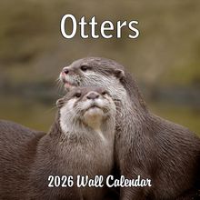 Otters 2026 Calendar