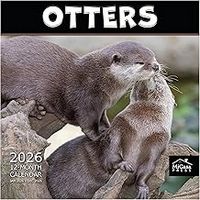 Otters 2026 Wall Calendar