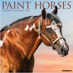 Paint Horses 2026 Calendar