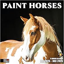 Paint Horses 2026 Wall Calendar