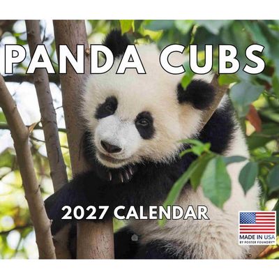 Panda Cubs 2027 Wall Calendar
