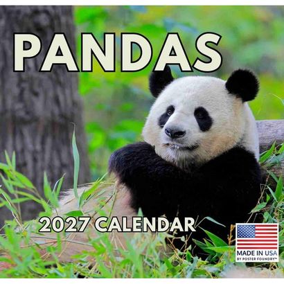Panda Cubs 2027 Wall Calendar