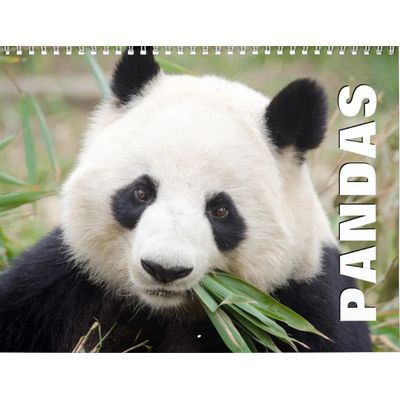 Pandas 2027 Wall Calendar