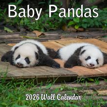 Pandas 2026 Calendar