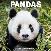 Pandas 2026 Calendar