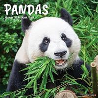 Pandas 2026 Calendar