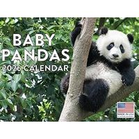 Baby Pandas 2026 Wall Calendar