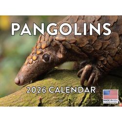 Pangolins 2026 Calendar