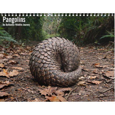 Pangolins 2027 Wall Calendar