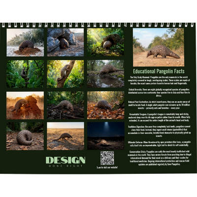 Pangolins 2027 Wall Calendar