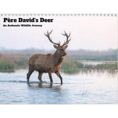 Père David’s Deer 2027 Calendar