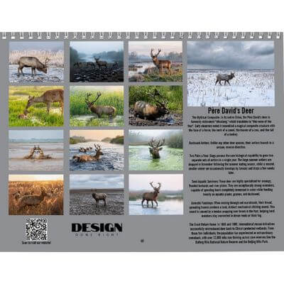 Père David’s Deer 2027 Calendar