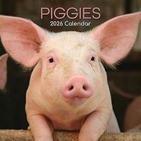 Piggies 2026 Calendar