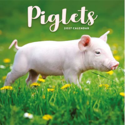 Piglets 2027 Calendar
