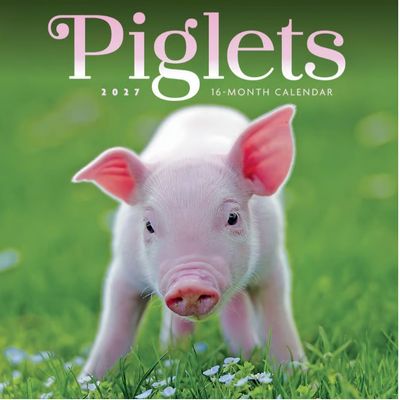 Piglets 2027 Mini Wall Calendar