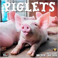 Piglets 2026 Calendar