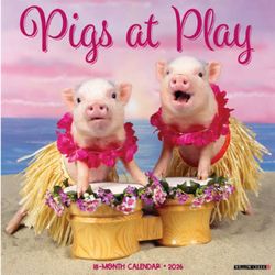 Pigs At Play 2026 Wall Calendar