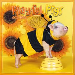 Playful Pigs 2026 Wall Calendar
