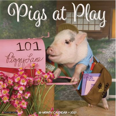 Pigs at Play 2027 Wall Calendar