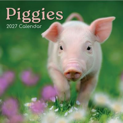 Piggies 2027 Wall Calendar