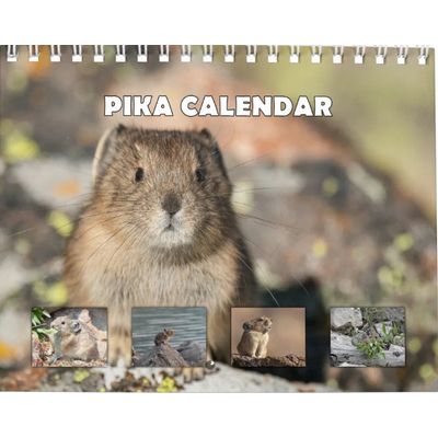 Pika 2027 Wall Calendar
