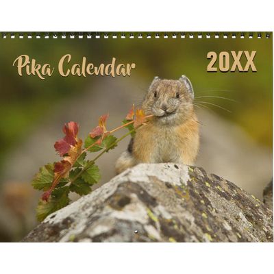 Pika 2027 Wall Calendar