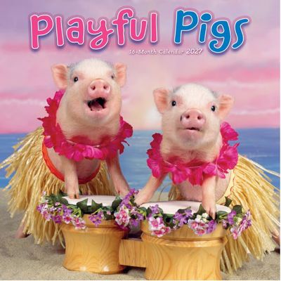 Playful Pigs 2027 Wall Calendar