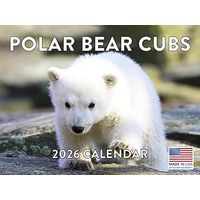 Polar Bear Cubs 2026 Calendar