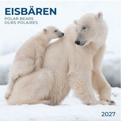 Polar Bears 2027 Wall Calendar