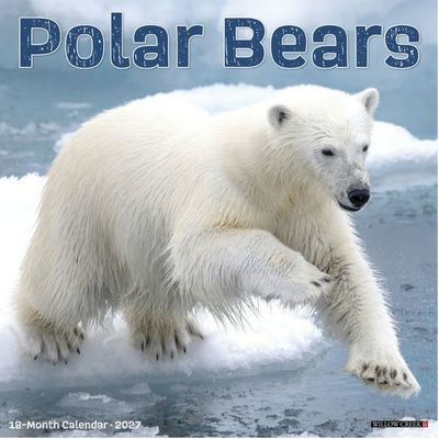 Polar Bears 2027 Wall Calendar
