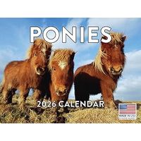 Ponies 2026 Wall Calendar