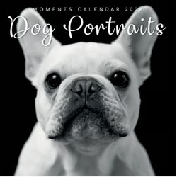 Dog Portraits 2026 Wall Calendar