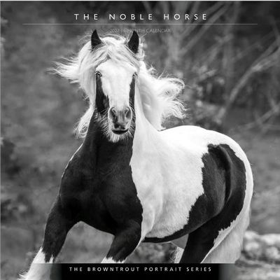 Horse Noble Portrait Series 2027 Wall Calendar