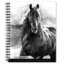 Cat Regal Portrait Series 2026 Wall Calendar