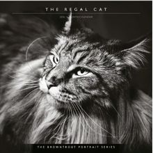 Cat Regal Portrait Series 2026 Wall Calendar