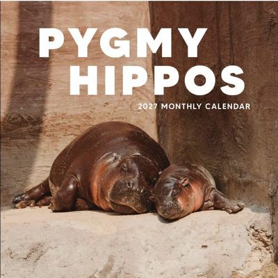 Pygmy Hippos 2027 Wall Calendar