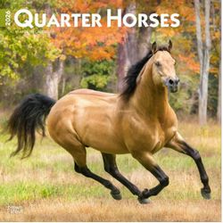 Quarter Horses 2026 Wall Calendar