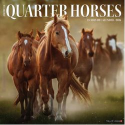Quarter Horses 2026 Wall Calendar