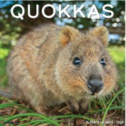 Quokkas 2026 Wall Calendar
