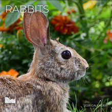 Rabbits 2026 Calendar