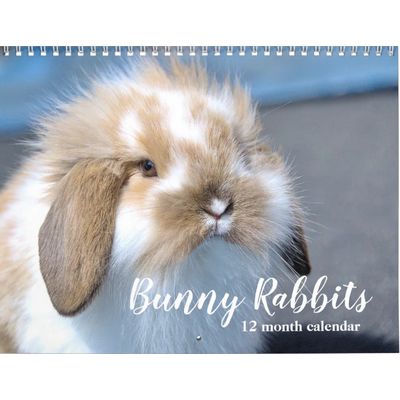  Bunny Rabbits 2027 Calendar