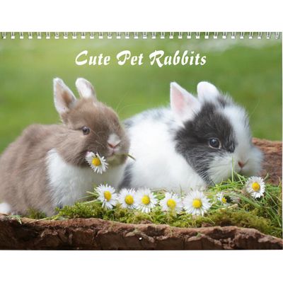 Wild Rabbits 2027 Calendar