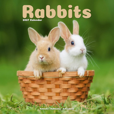 Rabbits 2027 Calendar