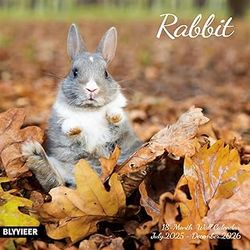 Rabbit 2026 Calendar
