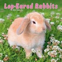Lop-Eared Rabbits 2026 Calendar
