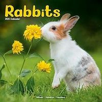 Rabbits 2026 Calendar